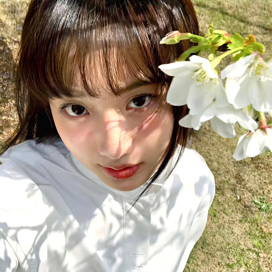 夏日秘密 第二季
